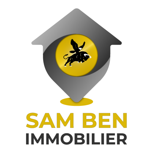 Logo filiale Mr Sam ben
